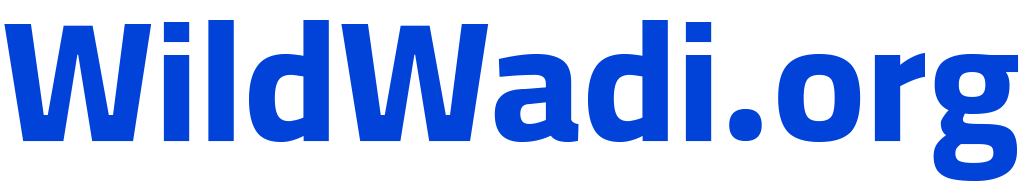Logo-WildWadi